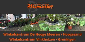 1616711610-van-der-laan-300x150 _1_